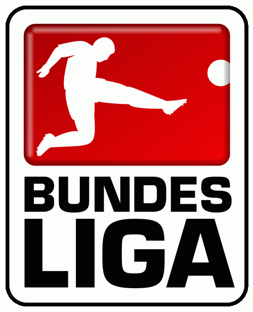 German Bundesliga iron ons
